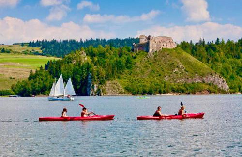 Willa Jagoda duży domek w górach 12-15 osób,jacuzzi, kominek,bilard - Foto 41