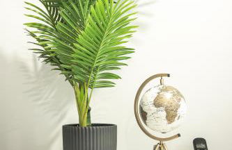 Viriato's House - Photo 28