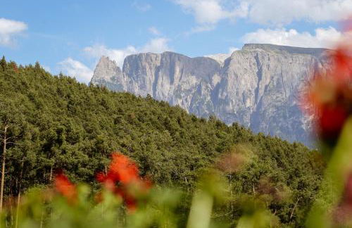 Haidgerberhof - apartments & homemade food - Foto 73