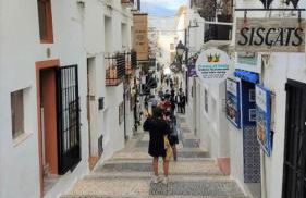 Salamandra - Photo 9