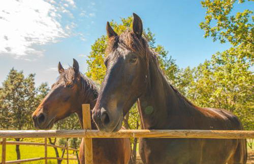 Casale Poggio Nebbia - Foto 132