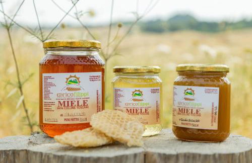 Agriturismo La Valle della Lavanda - Podere Mezzastrada - Foto 4