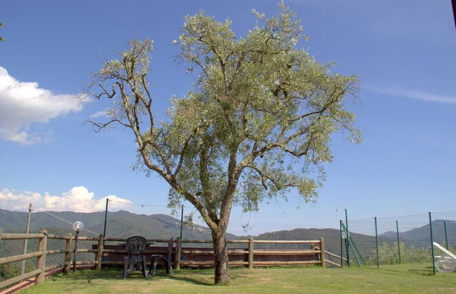 Hotel Paese Daniela - Foto 42