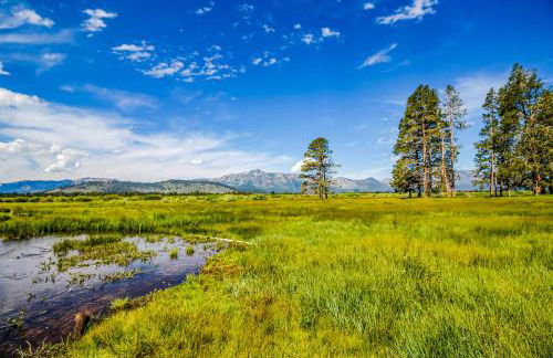 The Lazy Golden Cabin - Foto 29