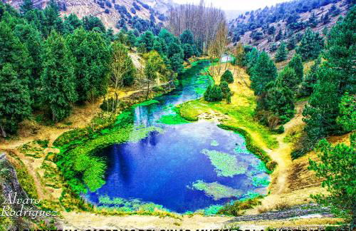 Apartamentos LA CAÑADA DE OSMA - Foto 50