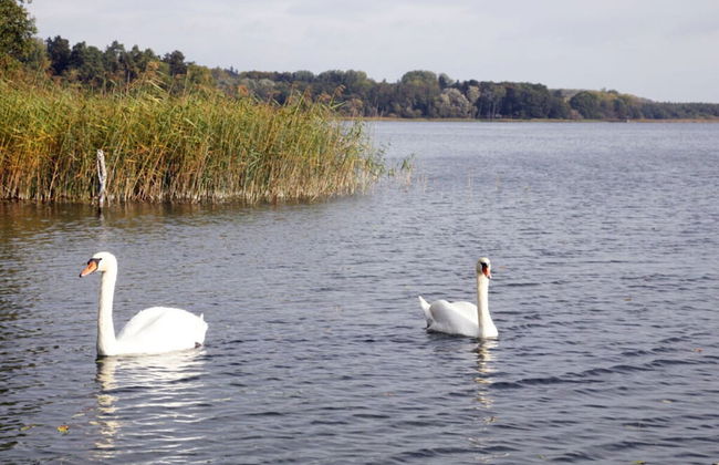 Kugelhaus Phoebe - Foto 20