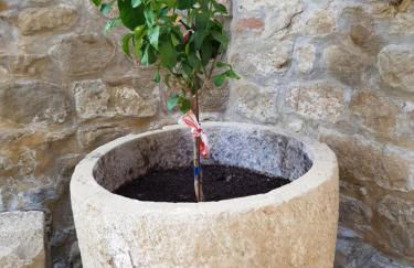 Natura Jordan - Foto 18