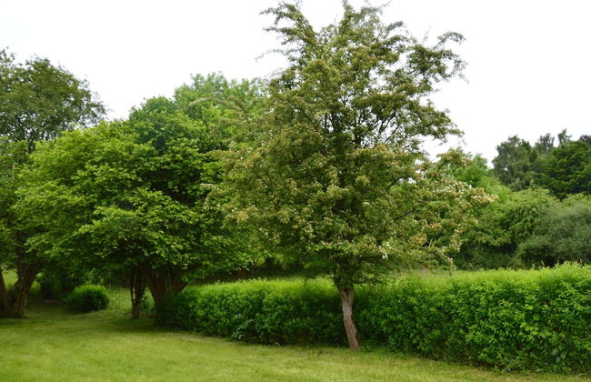Grand Villa With Bubble Bath - Photo 61