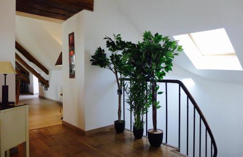 Un bijou au cœur de Belleme - Foto 15