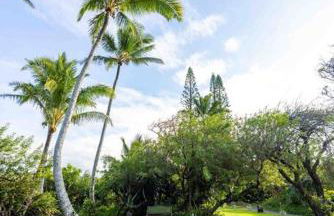 Cliff House with Ocean Views in Haiku, Maui jungle - Foto 31