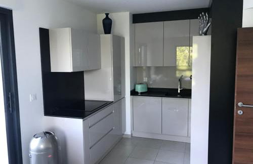 Appartement d'exception - Vue panoramique sur lac - Foto 2