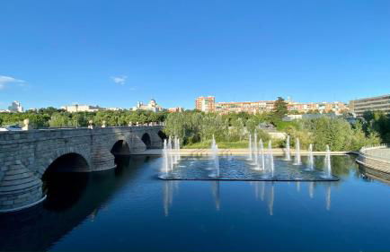 Centrally located duplex: Madrid Río-Palacio Real LINNEO - Photo 5