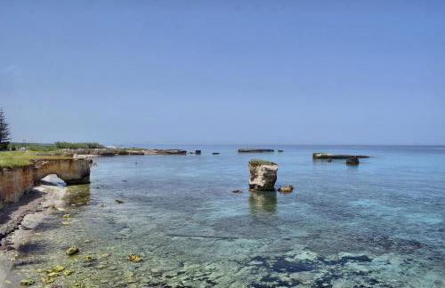 Masseria Bosco Mazza - Foto 39