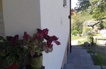 Pod Gruszą - Foto 16