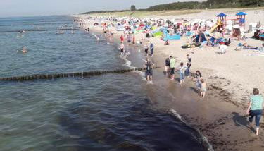 Übernachtung bei Michael - Ferienwohnung Rostock - Foto 3