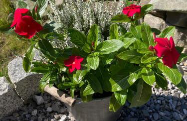 Brama Gór - Foto 41