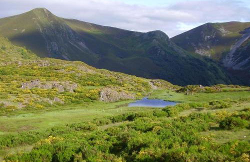 Apartamentos Rurales Casa Baltasar - Foto 42