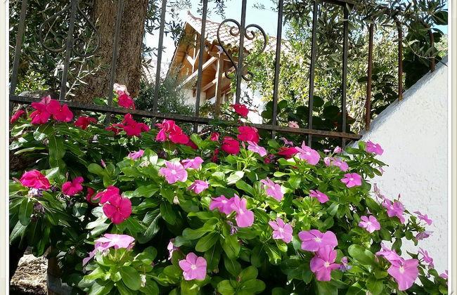 Exclusive Cottage in S West Crete in a Quiet Olive Grove Near the sea - Foto 3