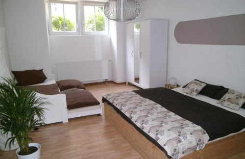 Schneckenhaus - Foto 17