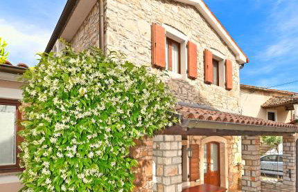 Apartmani Petar Stojnić - Foto 1