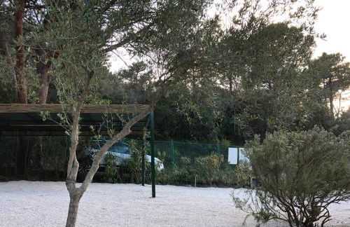 Le Sughere - Foto 17