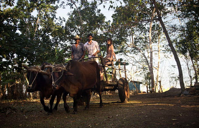 Jeep Safari nei dintorni di Yaguajay - Foto 5