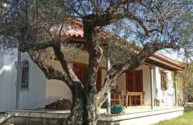 Nafpaktos cottage by the sea for travelers and dreamers! - Foto 39