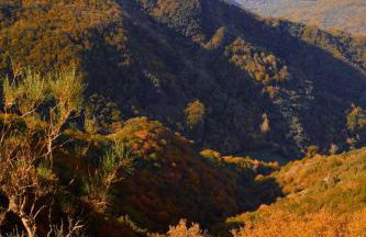 Lar da cima - Foto 61