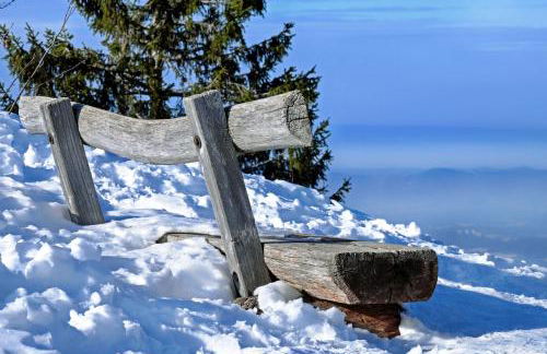 Abnoba Mons Design Apartment Lenzkirch - Photo 19