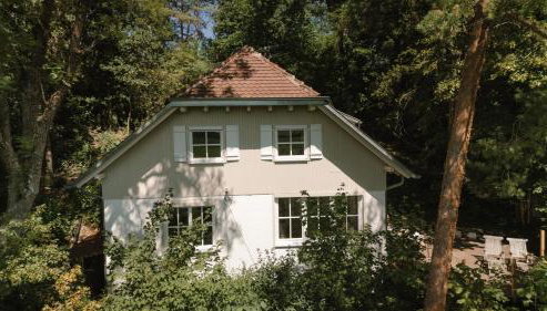 Waldmaise - Foto 4