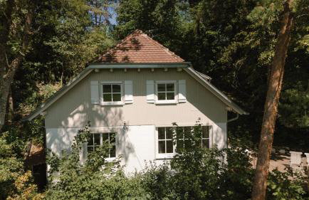 Waldmaise - Foto 4