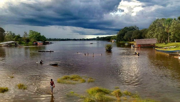 Landscape around the Loretoyacu River