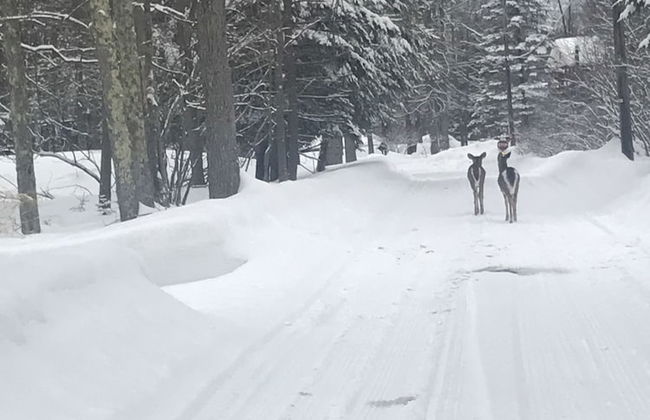 Pocono Retreat: Lake, Firepit, Bbq, Gameroom, Ski 4 Bedroom Home by RedAwning - Foto 34