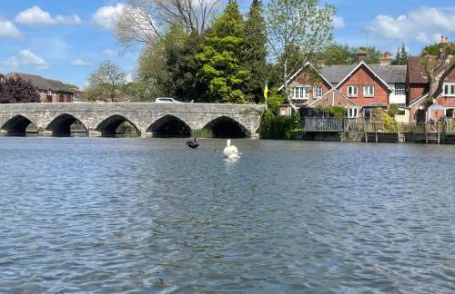 Roundhill New Forest - Foto 10