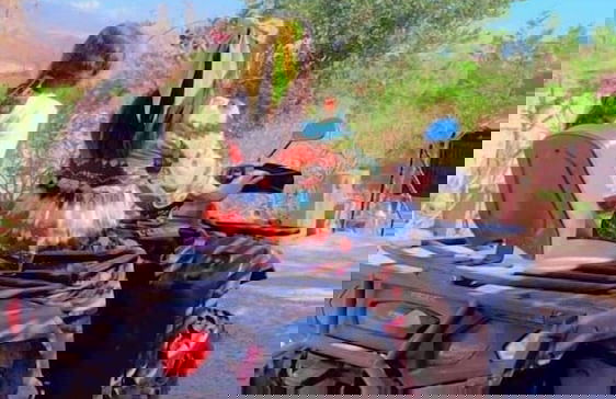 Les jardins yasmina - Foto 34