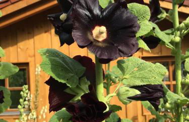 Haus Seidl - Foto 54