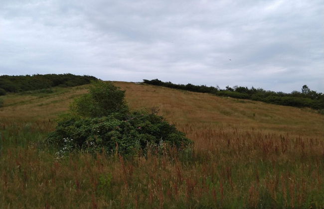 5 Person Holiday Home in Esbjerg V-by Traum - Foto 9