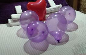 El Refugio Lila de Ubrique - Foto 42