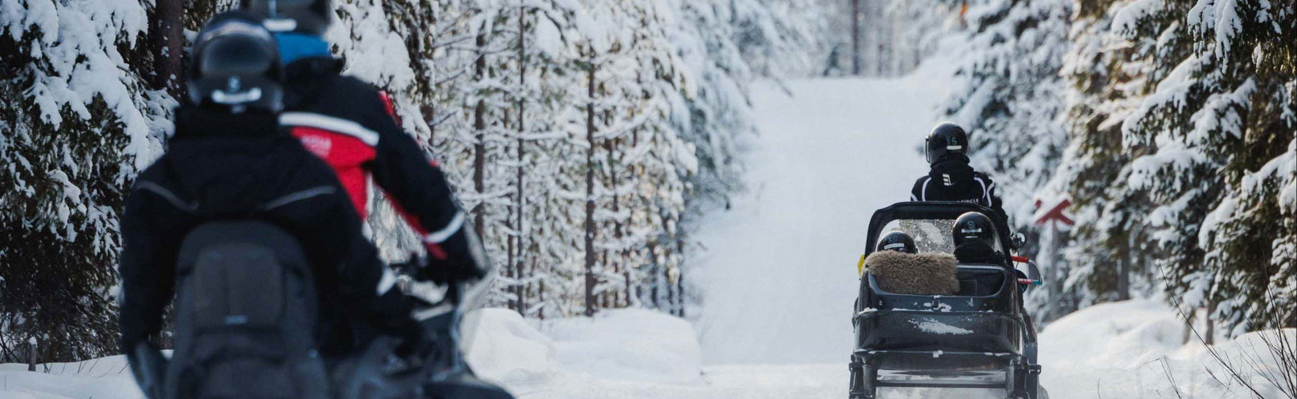 Snowmobile Ride + Reindeer & Husky Sleigh Ride