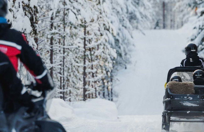 Snowmobile Ride + Reindeer & Husky Sleigh Ride - Photo 1