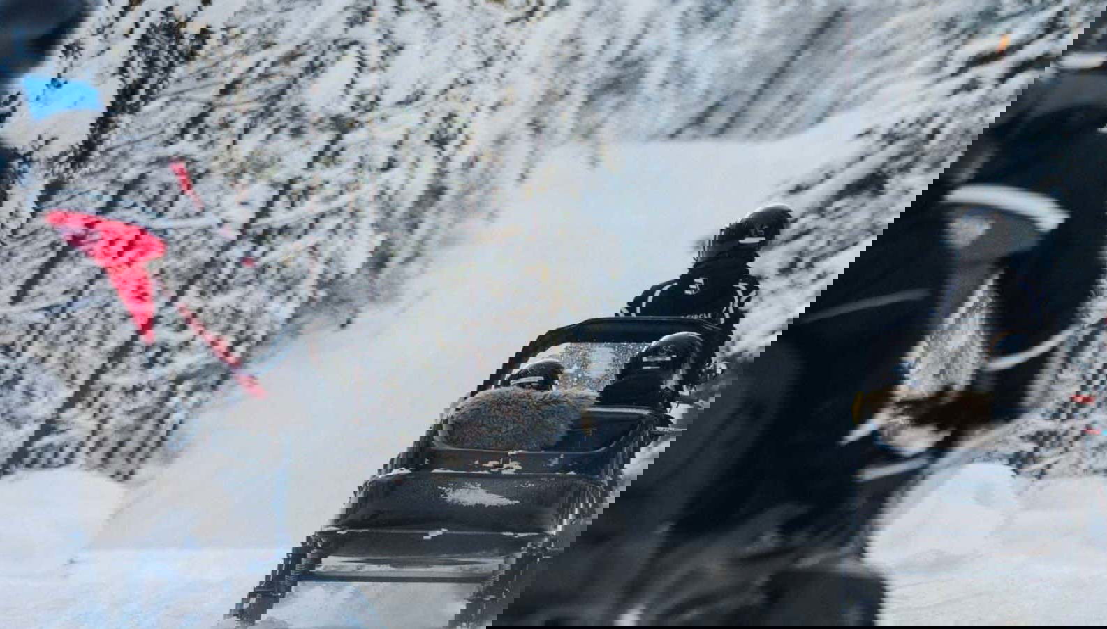 Aventura en moto de nieve + Paseo en trineo de renos y huskies