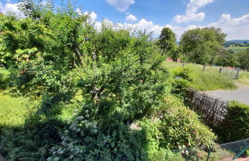 Ferien- und Monteurwohnung Tina - Photo 40