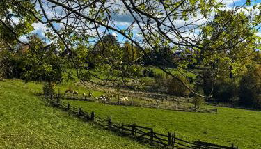 Domek pod Modrzewiem - Foto 3