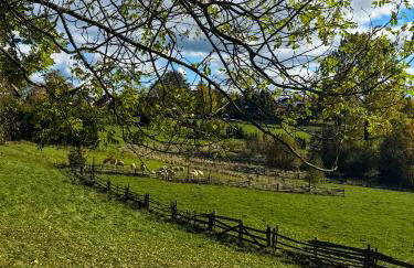 Domek pod Modrzewiem - Foto 3