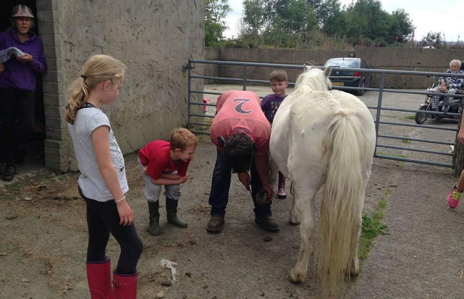 Relax in Sunset View Cottage on Cwmiar Farm - Photo 13