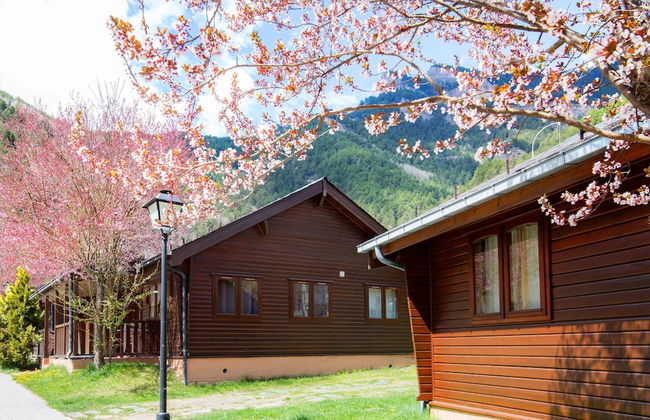 Apartamentos y Bungalows Xixerella Park - Foto 45