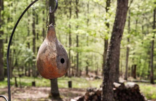 Tiny Cabin w Fire Pit Game Room and Dog Friendly - Foto 27