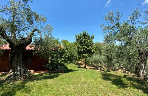 I Giardini Di Margius - Foto 15