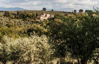 Tenuta San Felice - Foto 35