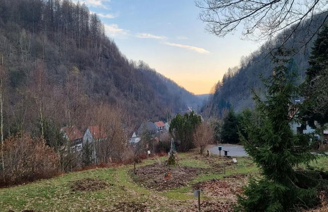 Ferienhaus in Wieda mit Garten - Foto 32